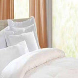 Blue Ridge Kathy Ireland 240 Thread Count Unbleached Cotton Cover Feather Down Comforter - Off White